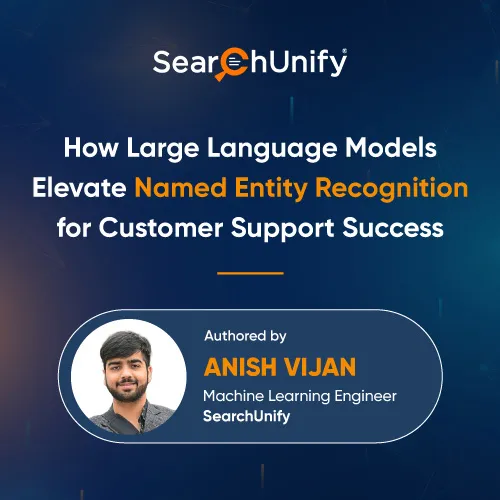 How Large Language Models Elevate Named Entity Recognition for Customer Support Success